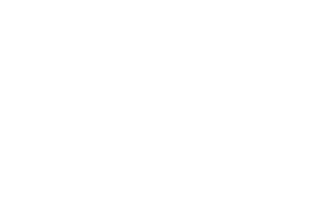 Penzion Celnice